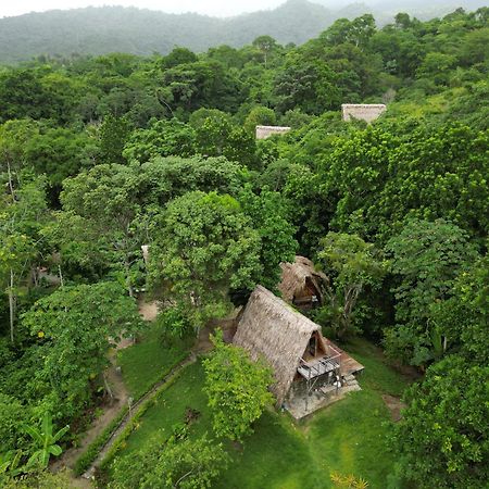 Tiny Houses Unique Tayrona - Dentro Del Parque Tayrona Ель-Зайно Екстер'єр фото