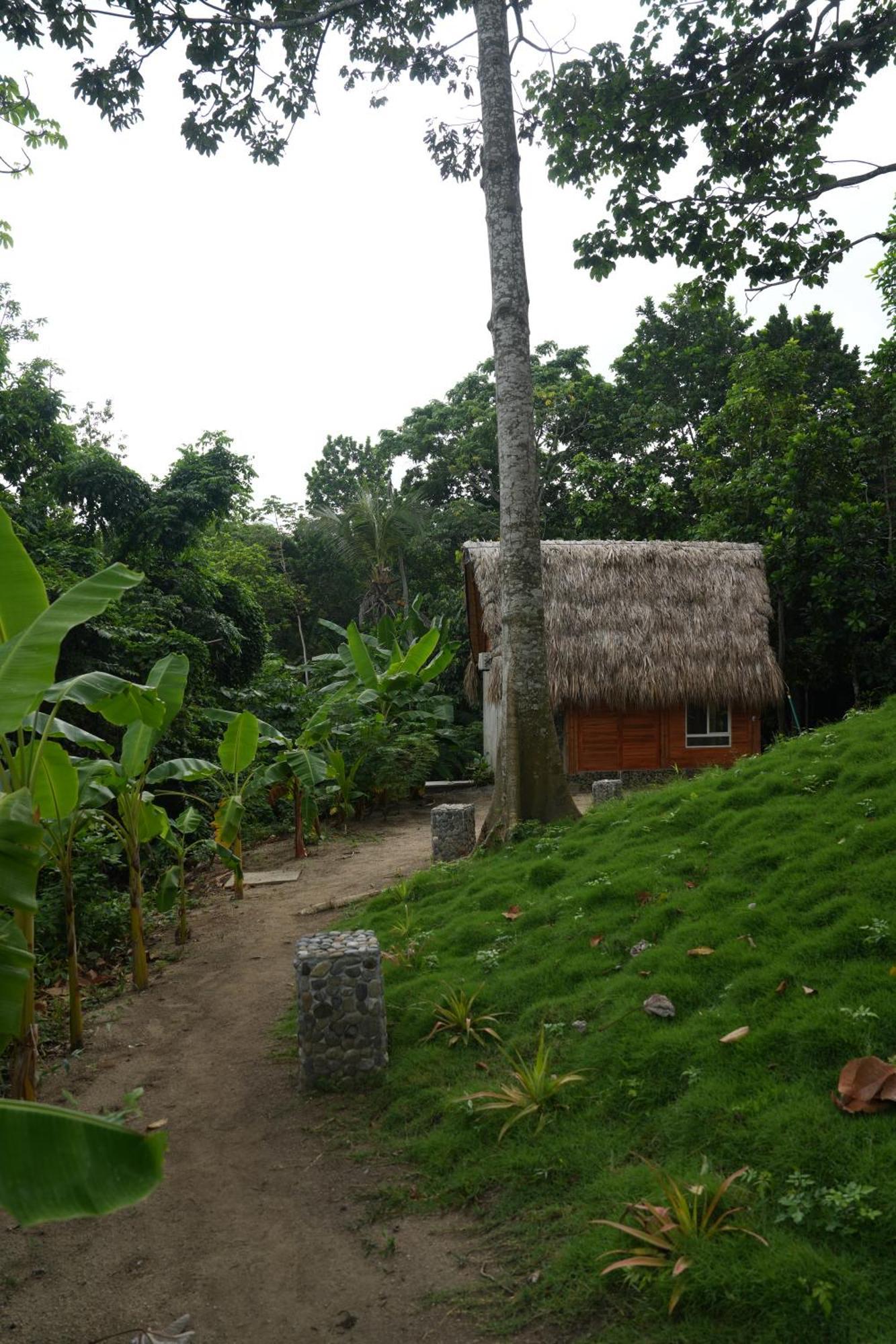 Tiny Houses Unique Tayrona - Dentro Del Parque Tayrona Ель-Зайно Екстер'єр фото