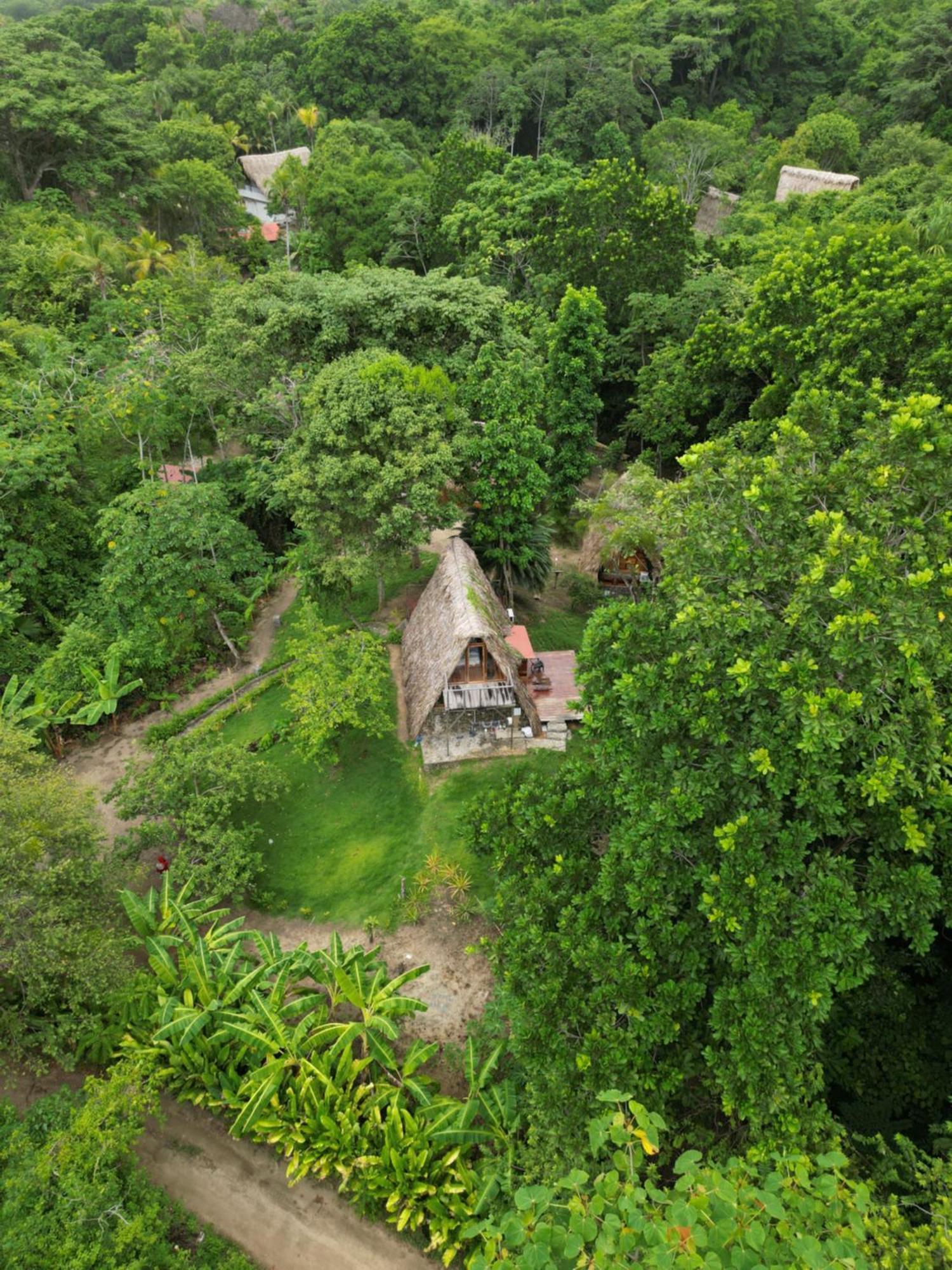 Tiny Houses Unique Tayrona - Dentro Del Parque Tayrona Ель-Зайно Екстер'єр фото