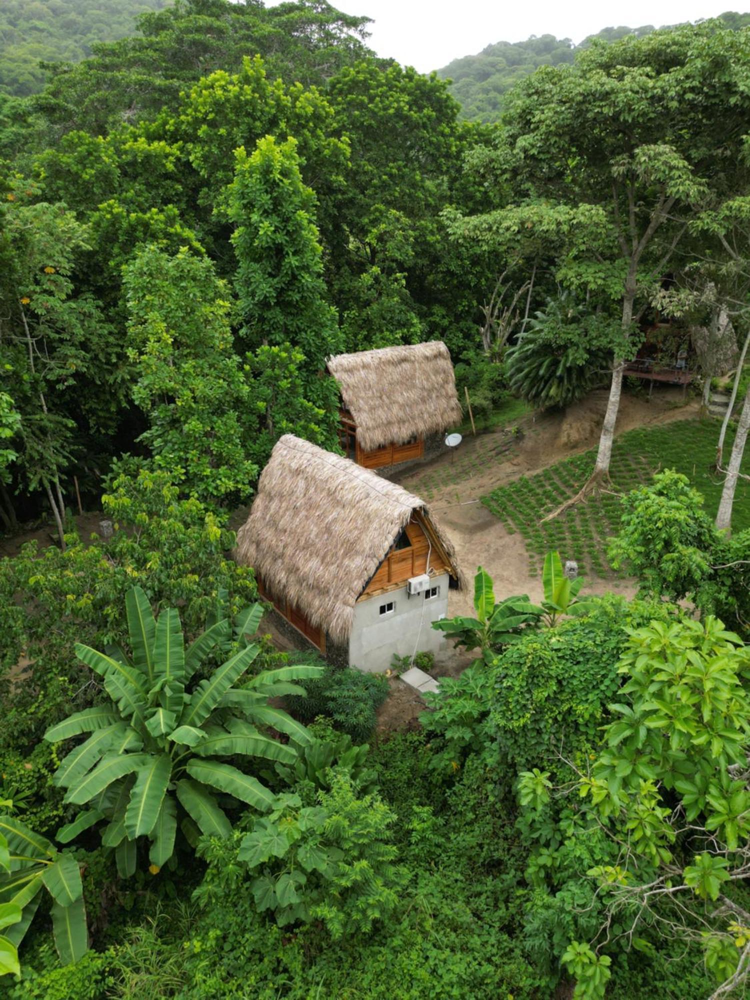 Tiny Houses Unique Tayrona - Dentro Del Parque Tayrona Ель-Зайно Екстер'єр фото
