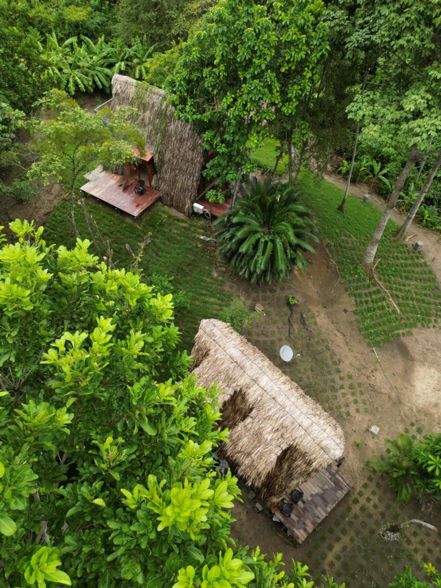 Tiny Houses Unique Tayrona - Dentro Del Parque Tayrona Ель-Зайно Екстер'єр фото