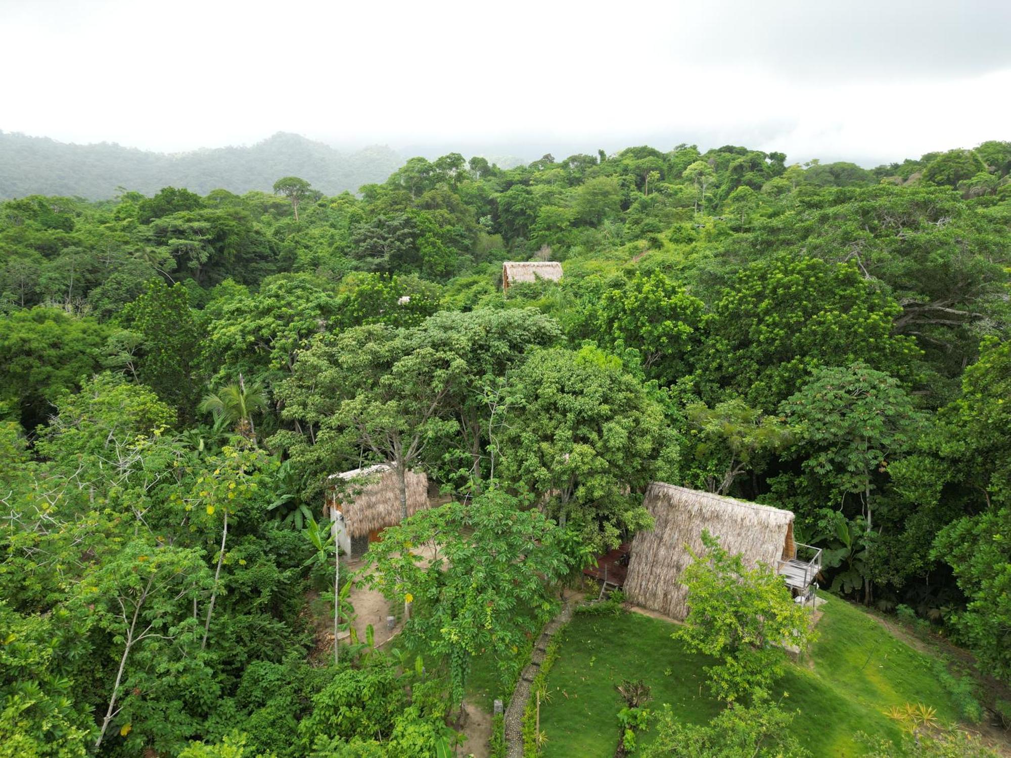 Tiny Houses Unique Tayrona - Dentro Del Parque Tayrona Ель-Зайно Екстер'єр фото