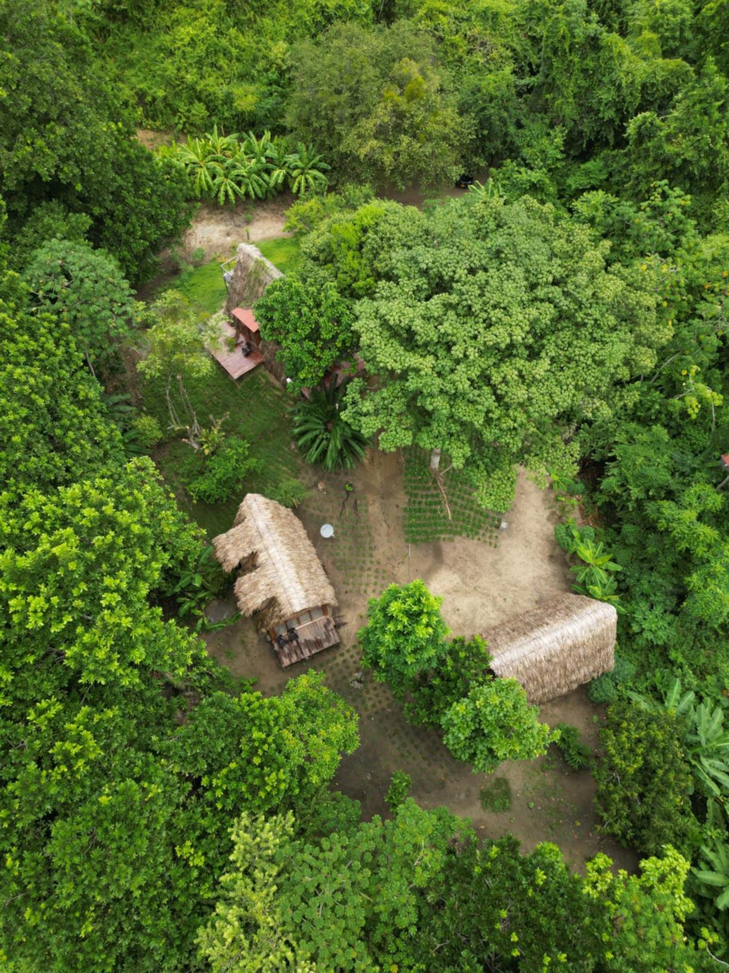 Tiny Houses Unique Tayrona - Dentro Del Parque Tayrona Ель-Зайно Екстер'єр фото