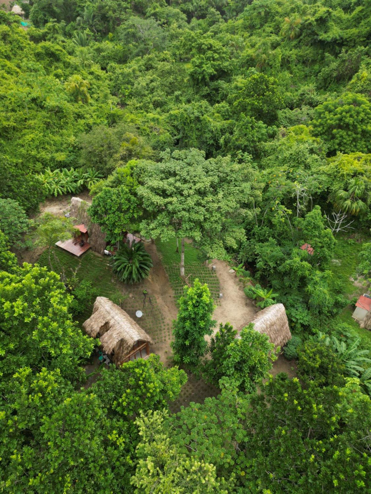 Tiny Houses Unique Tayrona - Dentro Del Parque Tayrona Ель-Зайно Екстер'єр фото