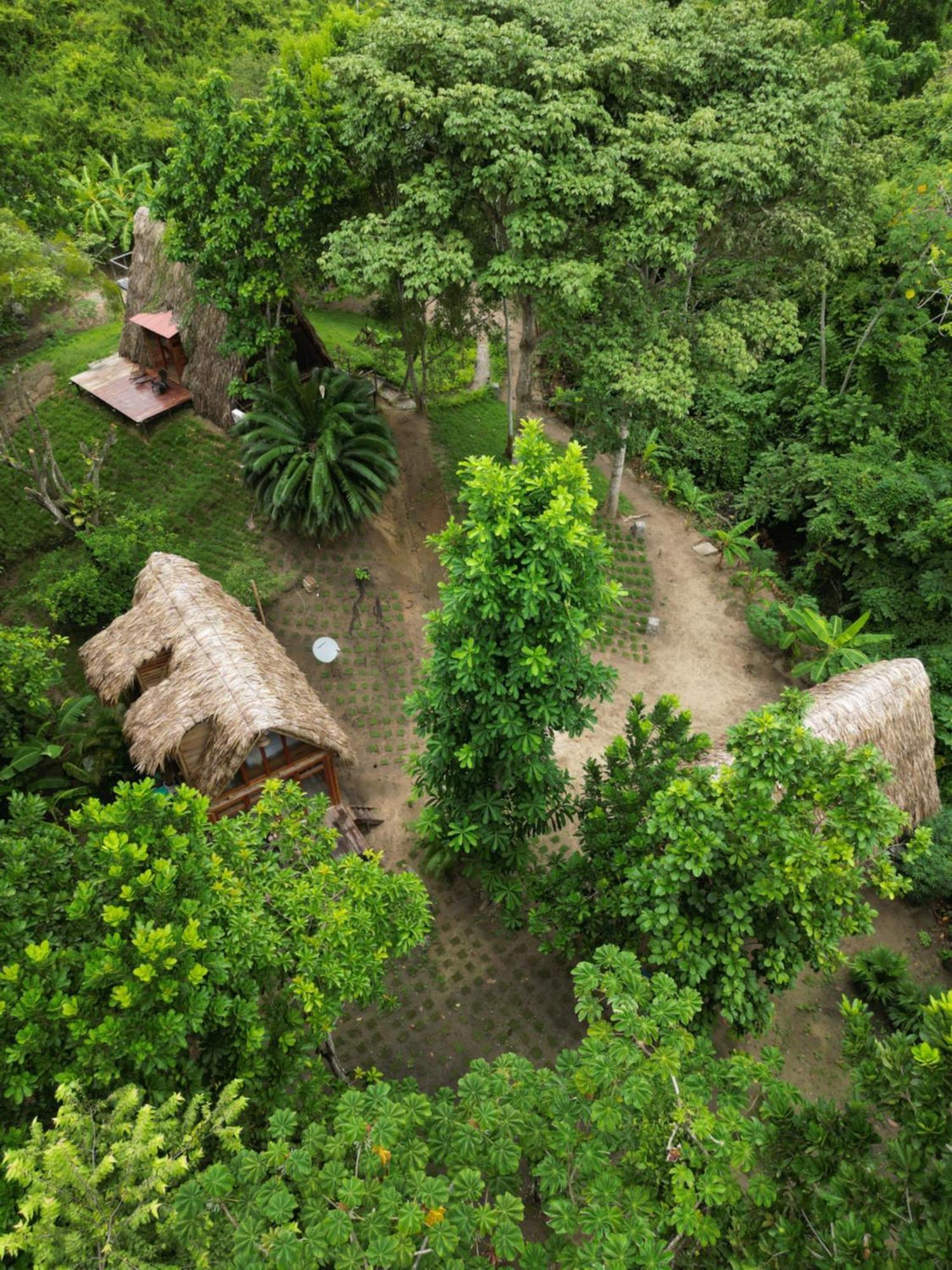 Tiny Houses Unique Tayrona - Dentro Del Parque Tayrona Ель-Зайно Екстер'єр фото