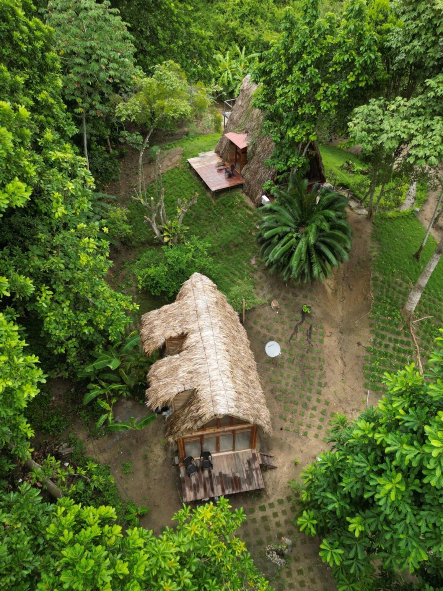Tiny Houses Unique Tayrona - Dentro Del Parque Tayrona Ель-Зайно Екстер'єр фото
