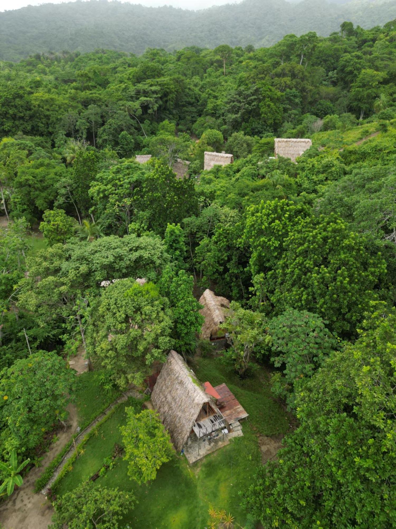 Tiny Houses Unique Tayrona - Dentro Del Parque Tayrona Ель-Зайно Екстер'єр фото