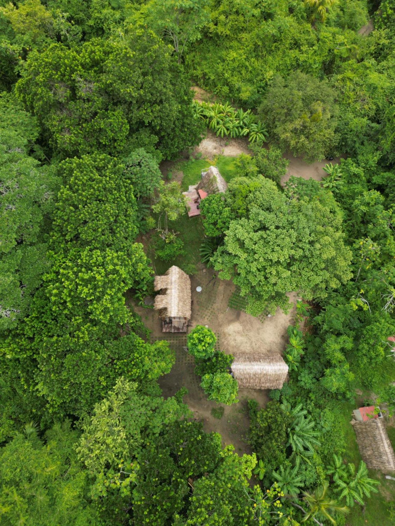 Tiny Houses Unique Tayrona - Dentro Del Parque Tayrona Ель-Зайно Екстер'єр фото
