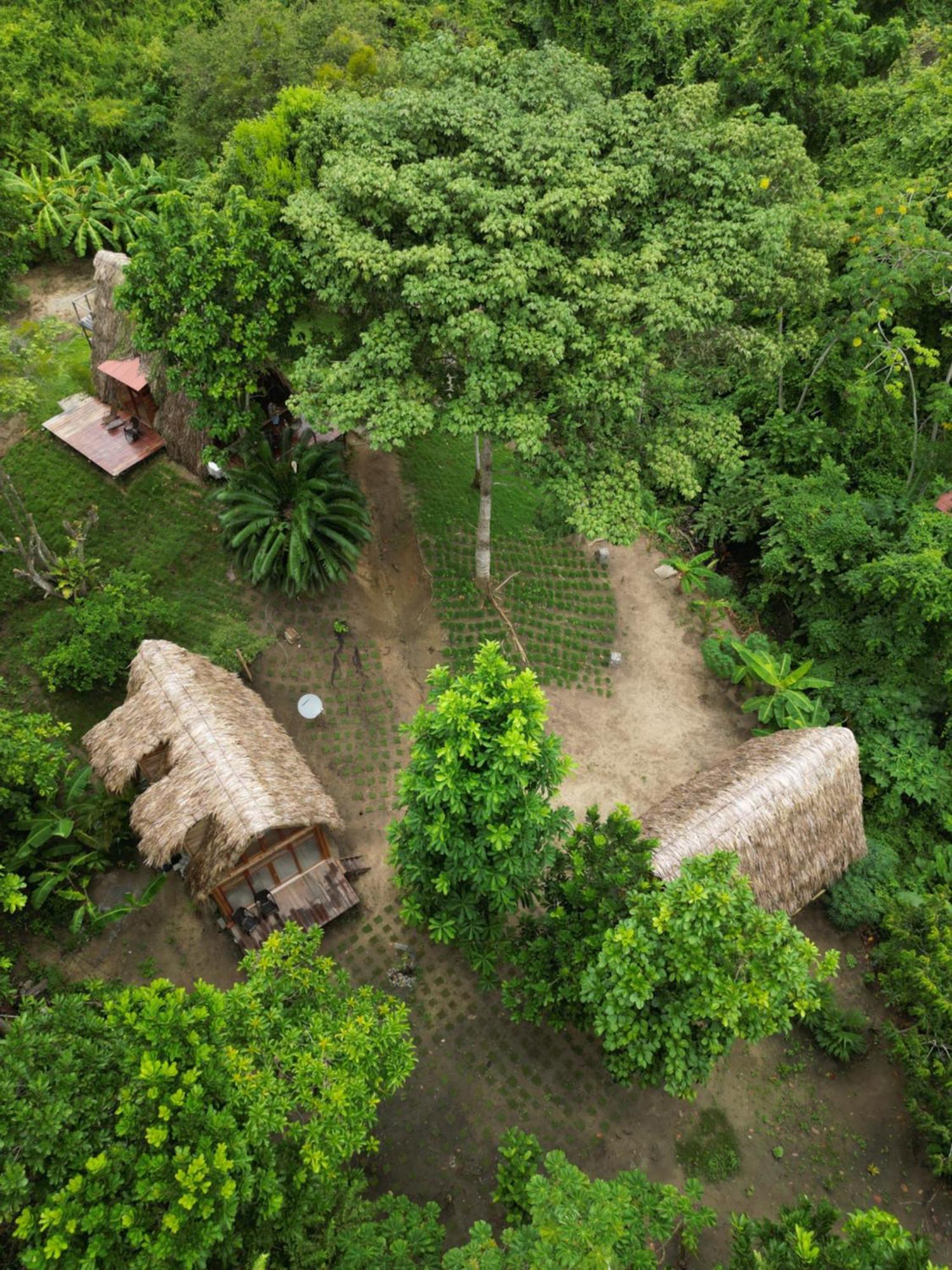 Tiny Houses Unique Tayrona - Dentro Del Parque Tayrona Ель-Зайно Екстер'єр фото
