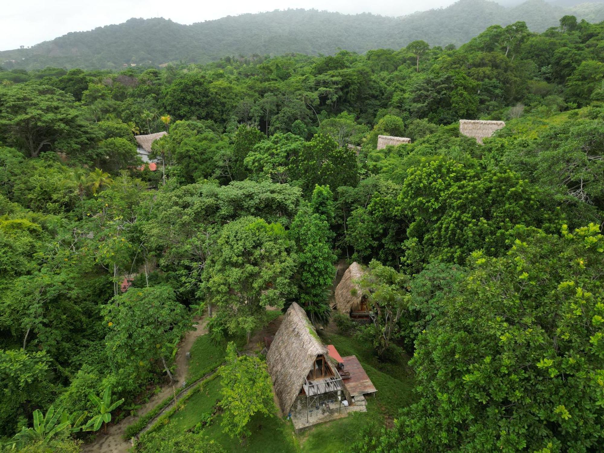 Tiny Houses Unique Tayrona - Dentro Del Parque Tayrona Ель-Зайно Екстер'єр фото